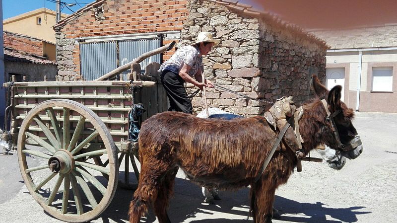 historia del transporte